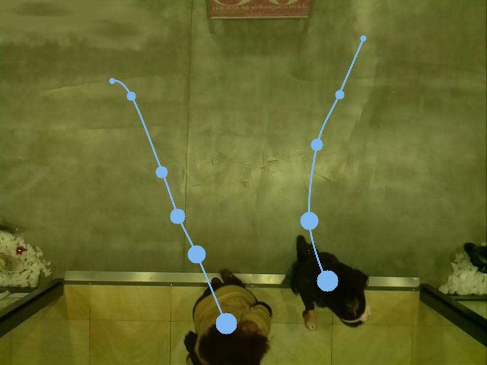 Štetje obiskovalcev v živo